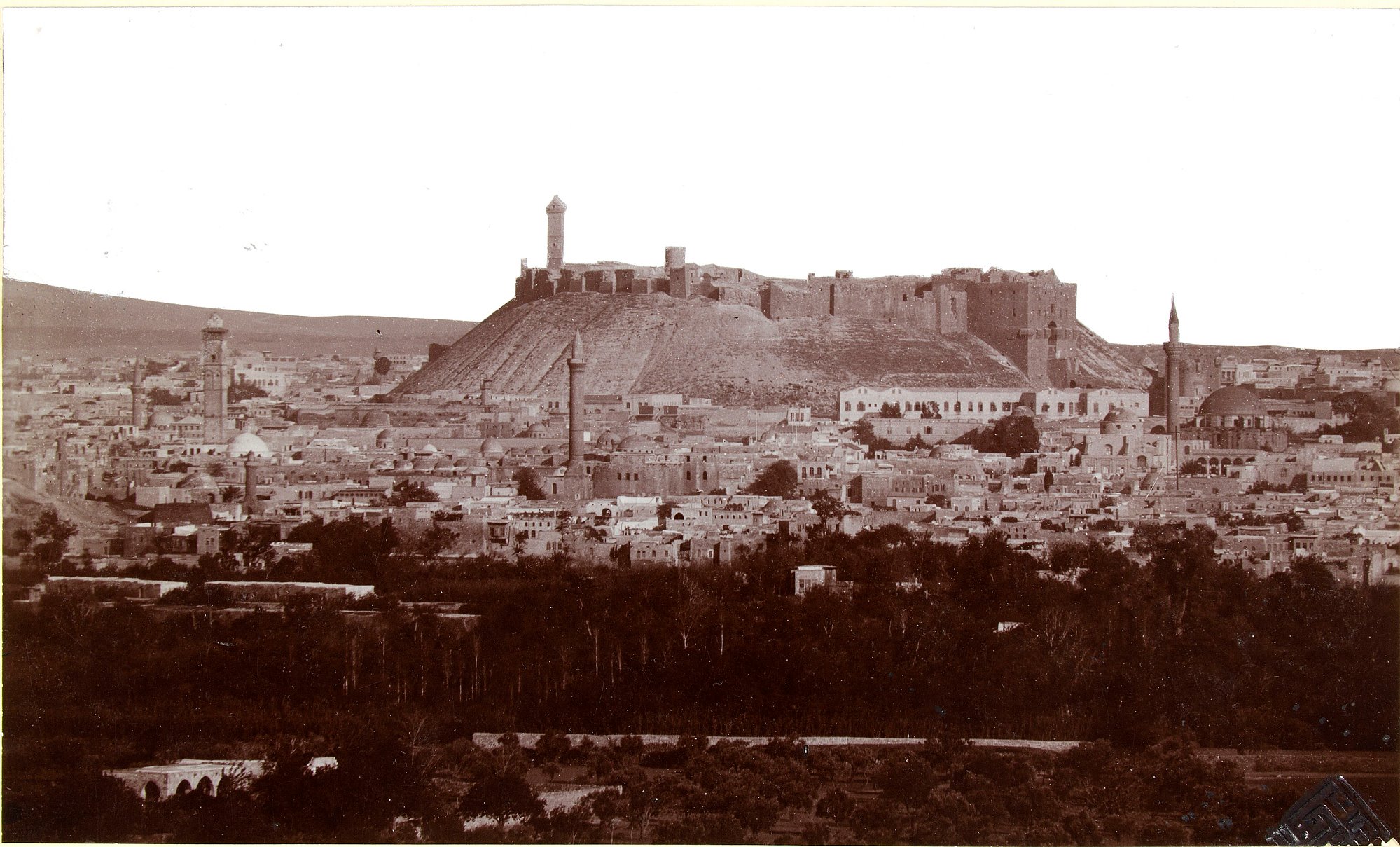 عمرو الملاّح : حلب بين الأمس القريب واليوم