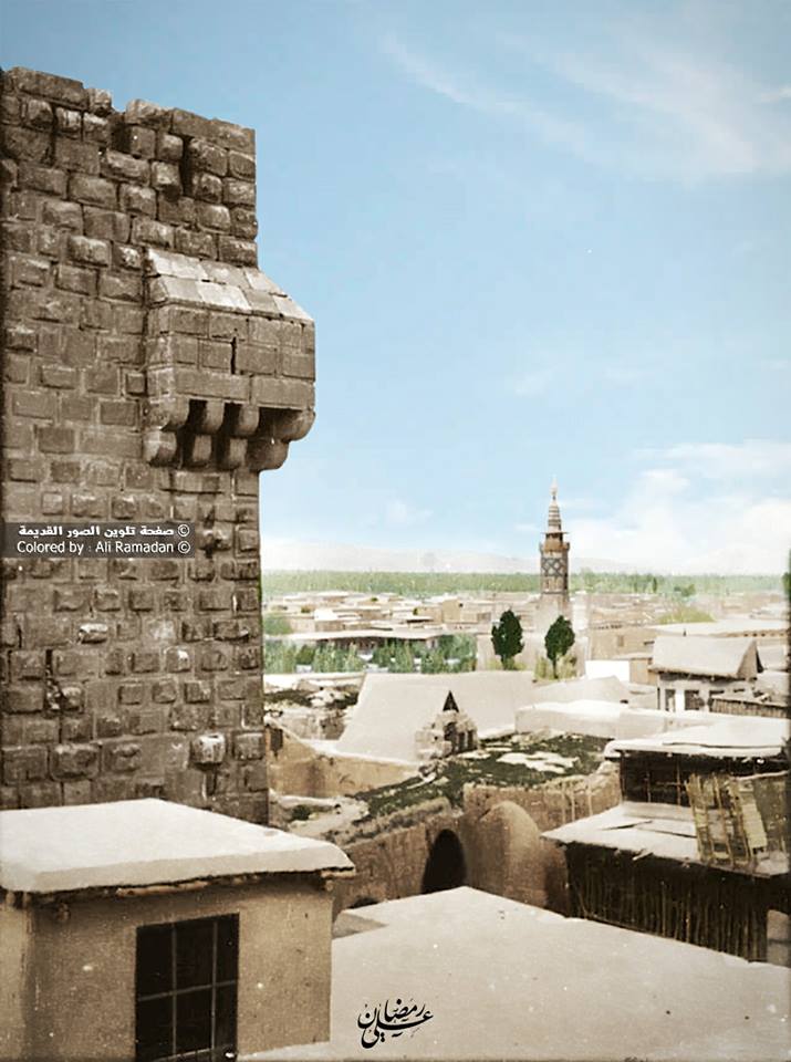 منظر عام لدمشق من القلعة سنة 1905 