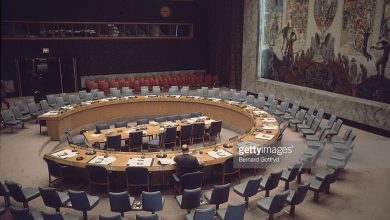 التاريخ السوري المعاصر - قرار مجلس الأمن الدولي 338