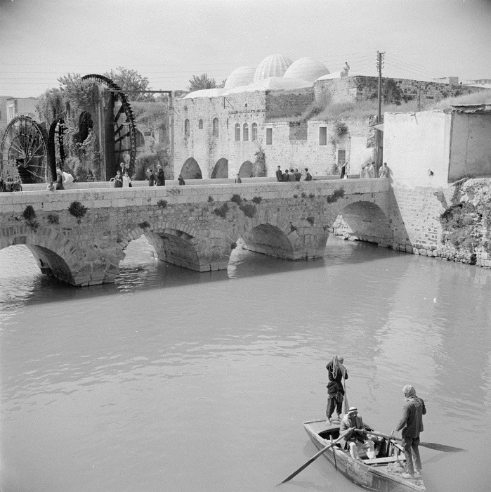 حماة عام 1950