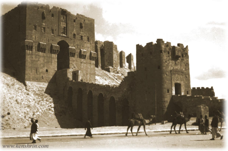 إحصائيات وأرقام - محافظة حلب