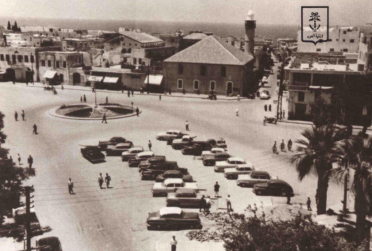 إحصائيات وأرقام - محافظة اللاذقية