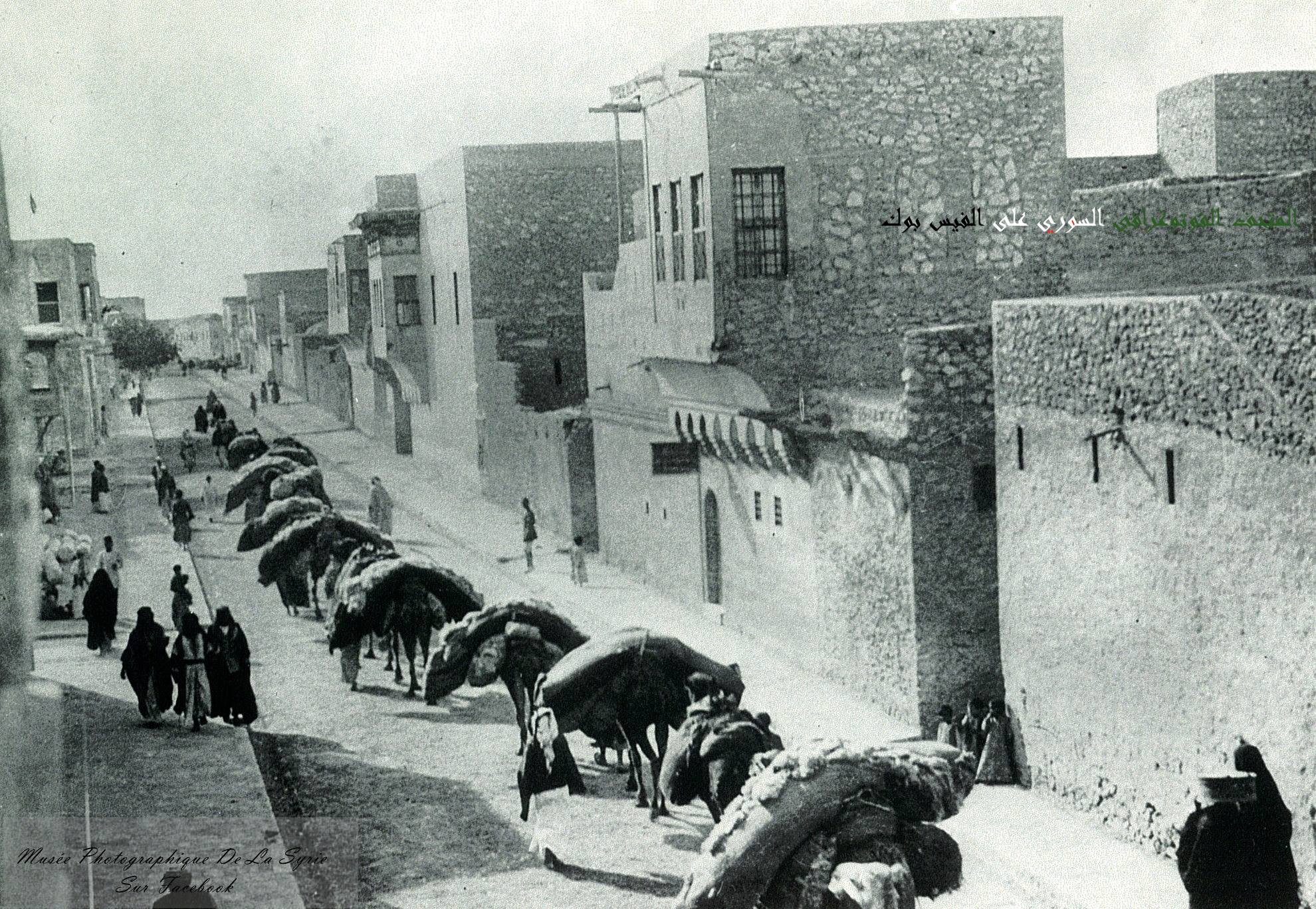 دير الزور - قافلة جمال في منطقة دير العتيق مطلع القرن العشرين