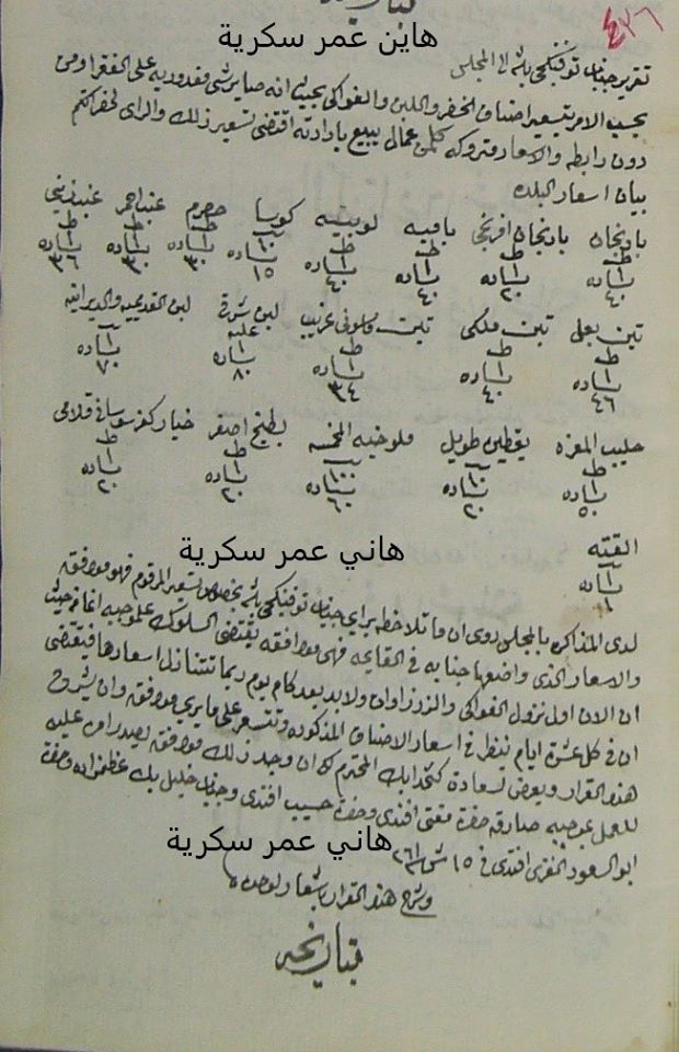 هاني سكرية: دمشق بعد خروج جيش إبراهيم باشا