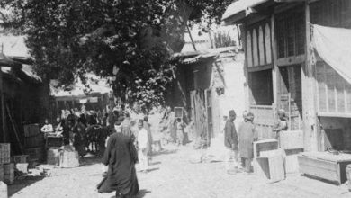 دمشق 1911 - شجرة الدلب الضخمة في سوق السروجية