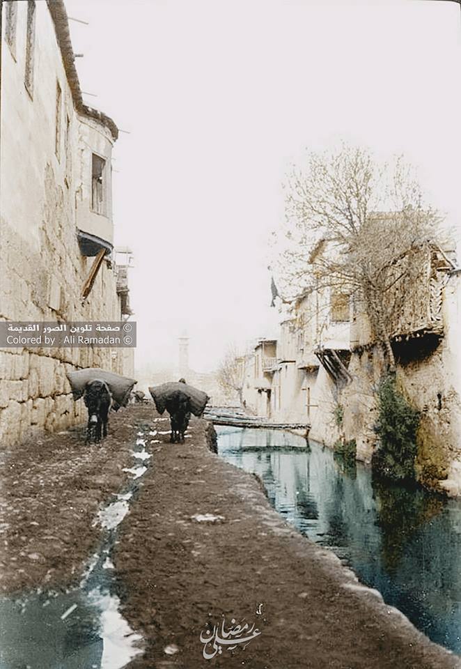 التاريخ السوري المعاصر - نهر بردى - الجهة الغربية باب توما - دمشق ١٩١١