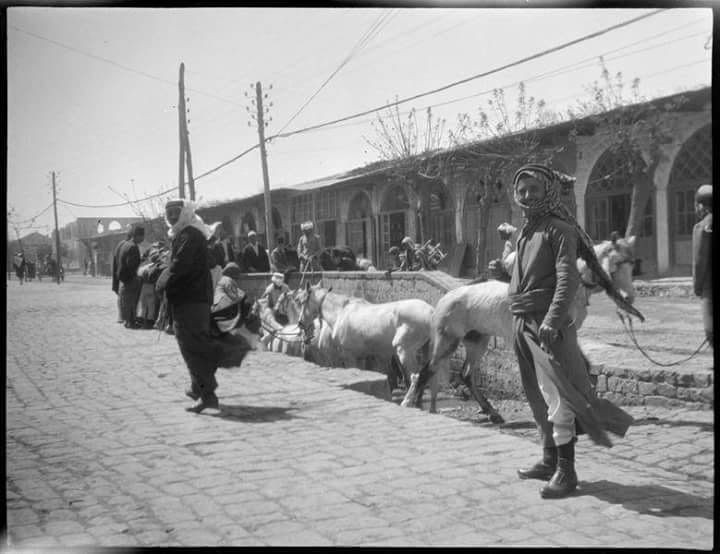 حمص : شارع السراي ( القوتلي) في بدايات القرن الماضي..