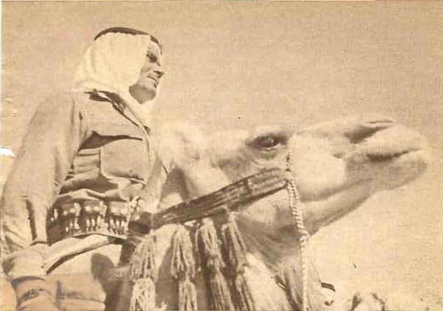 قوات الهجانة في سورية