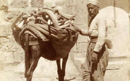 التاريخ السوري المعاصر - بائع خيار في دمشق 1910