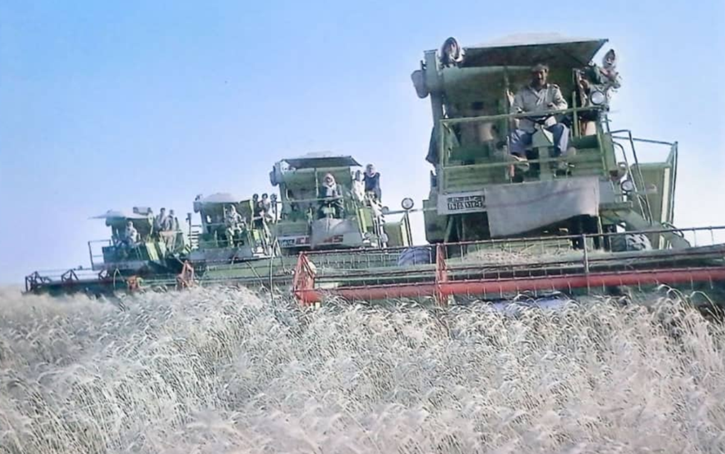 حصاد القمح بالآلات في الرقة عام 1986م