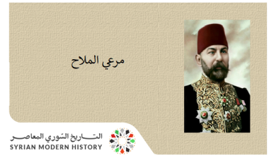 التاريخ السوري المعاصر - مرعي الملاح