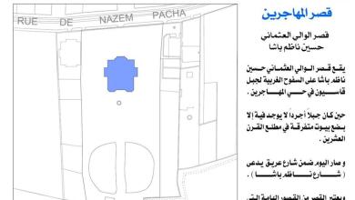 قصر المهاجرين - قصر حسين ناظم باشا - المخطط والمساحة (2)