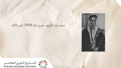 التاريخ السوري المعاصر - الموقف الألماني من الثورة العربية الكبرى عام 1916م
