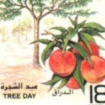 طوابع سورية عام 2000 –  عيد الشجرة