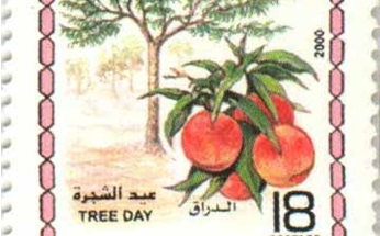 طوابع سورية عام 2000 –  عيد الشجرة
