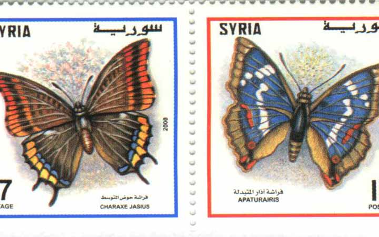 طوابع سورية عام 2000 - الفراشات