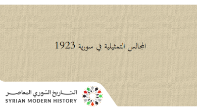 التاريخ السوري المعاصر - المجالس النيابية والتمثيلية في سورية 1920-1927