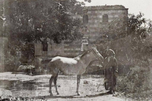 سطام الشعلان - من أرشيف ماكس فون أوبنهايم