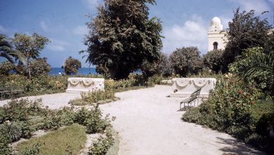 التاريخ السوري المعاصر - اللاذقية - جزءٌ من الكازينو وحديقة البطرني عام 1955م 