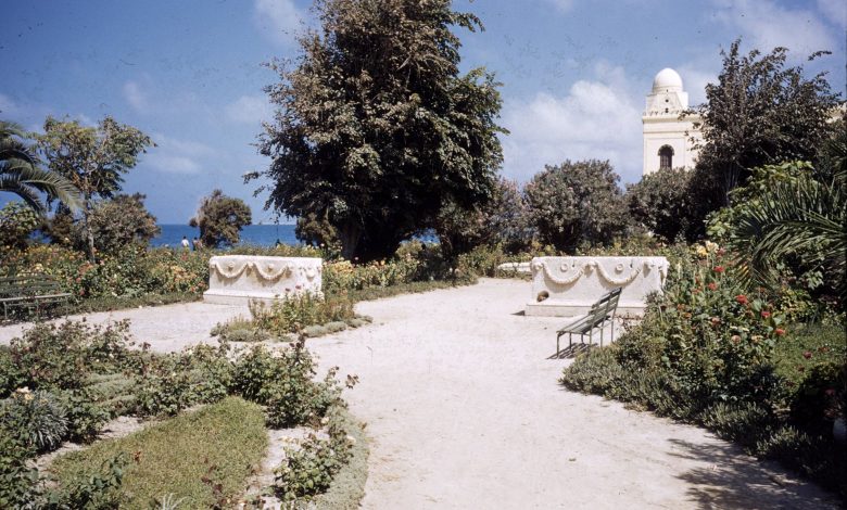 اللاذقية - جزءٌ من الكازينو وحديقة البطرني عام 1955م 