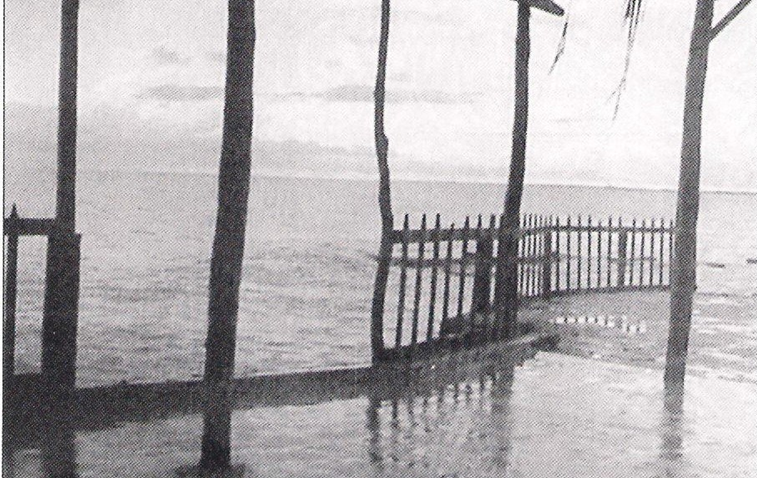 اللاذقية -مشهد في الخمسينات