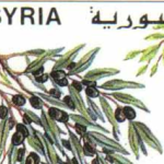طوابع سورية 1996 – عيد الشجرة
