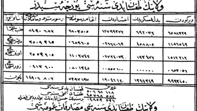 التاريخ السوري المعاصر - من الأرشيف العثماني- الدخل المالي لولاية حلب في عام 1881