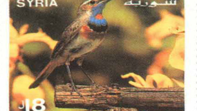 التاريخ السوري المعاصر - طوابع سورية 1995 - الطيور