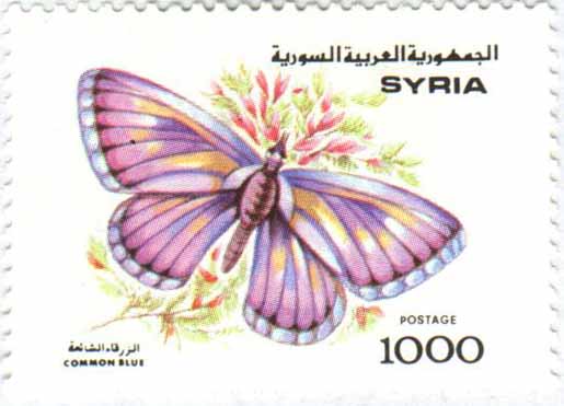 التاريخ السوري المعاصر - طوابع سورية 1993 - الفراشات