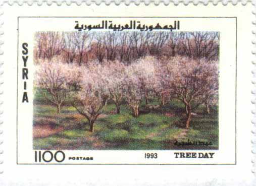 التاريخ السوري المعاصر - طوابع سورية 1993 - عيد الشجرة