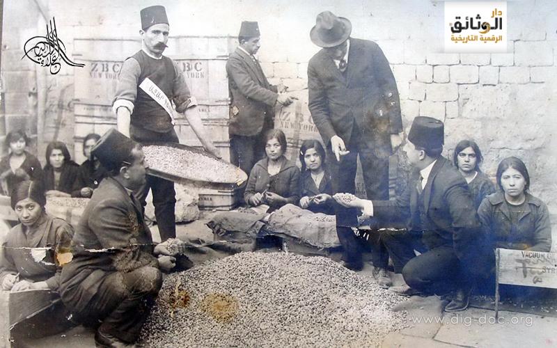 التاريخ السوري المعاصر - تجفيف الفستق الحلبي وتمليحه قبل عملية التصدير عام 1917م