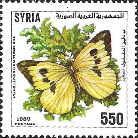 التاريخ السوري المعاصر - طوابع سورية 1989- الفراشات