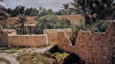 التاريخ السوري المعاصر - واحة تدمر – نيسان 1997