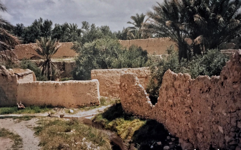 واحة تدمر – نيسان 1997