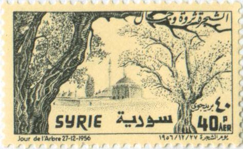 التاريخ السوري المعاصر - طوابع سورية 1956 - عيد الشجرة