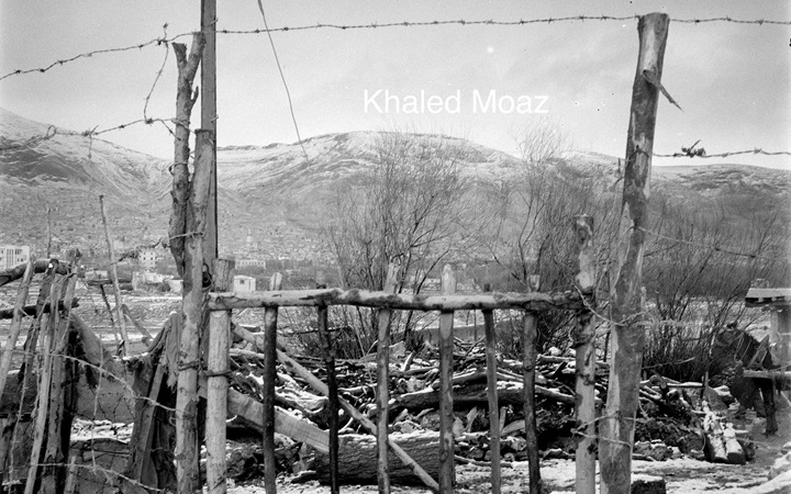 بساتين الصالحية في دمشق عام 1953