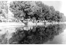 نهر بردى والأشجار وسط دمشق في خمسينيات القرن العشرين