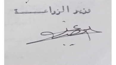 توقيع علي بوظو وزير الزراعة عام 1951