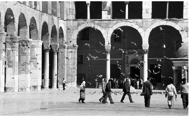 صحن مسجد بني أمية عام 1980 (3)