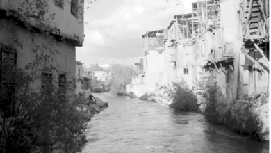 دباغات باب السلامة في دمشق عام 1953