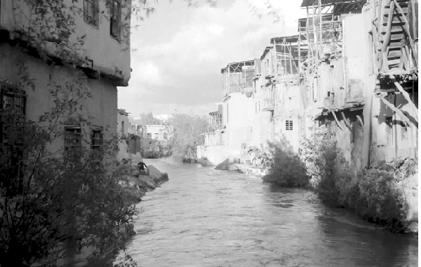 التاريخ السوري المعاصر - دباغات باب السلامة في دمشق عام 1953