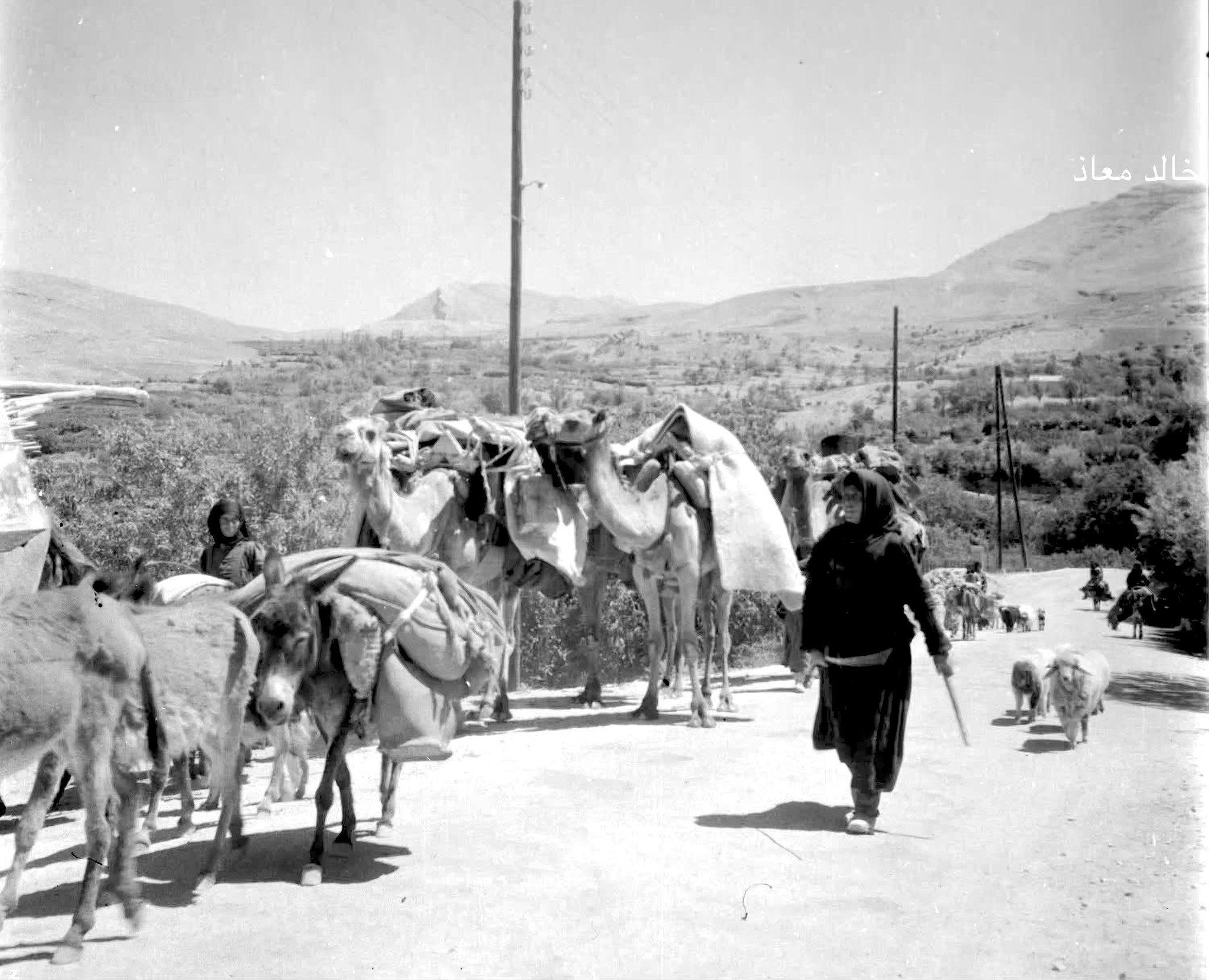 التاريخ السوري المعاصر - قافلة في بلودان بريف دمشق عام 1956 (2)