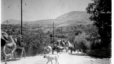 قافلة في بلودان بريف دمشق عام 1956 (1)