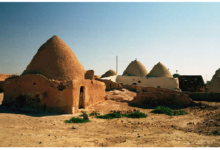 البيوت الطينية في منطقة تل مرديخ في إدلب عام 1985