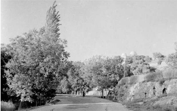 طريق التل في ريف دمشق ومقام الشيخ قسم عام 1956