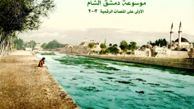 التاريخ السوري المعاصر - الأرمشي (عماد)، موسوعة دمشق الشام