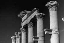 التاريخ السوري المعاصر - آثار مملكة تدمر بعدسة جورج عشي عام 1985 (3)