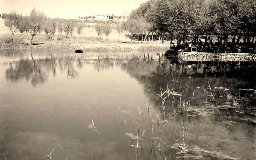 نبع بردى في خمسينيات القرن العشرين