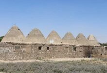 مدرسة العشائر في الرقة