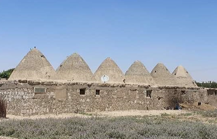 مدرسة العشائر في الرقة